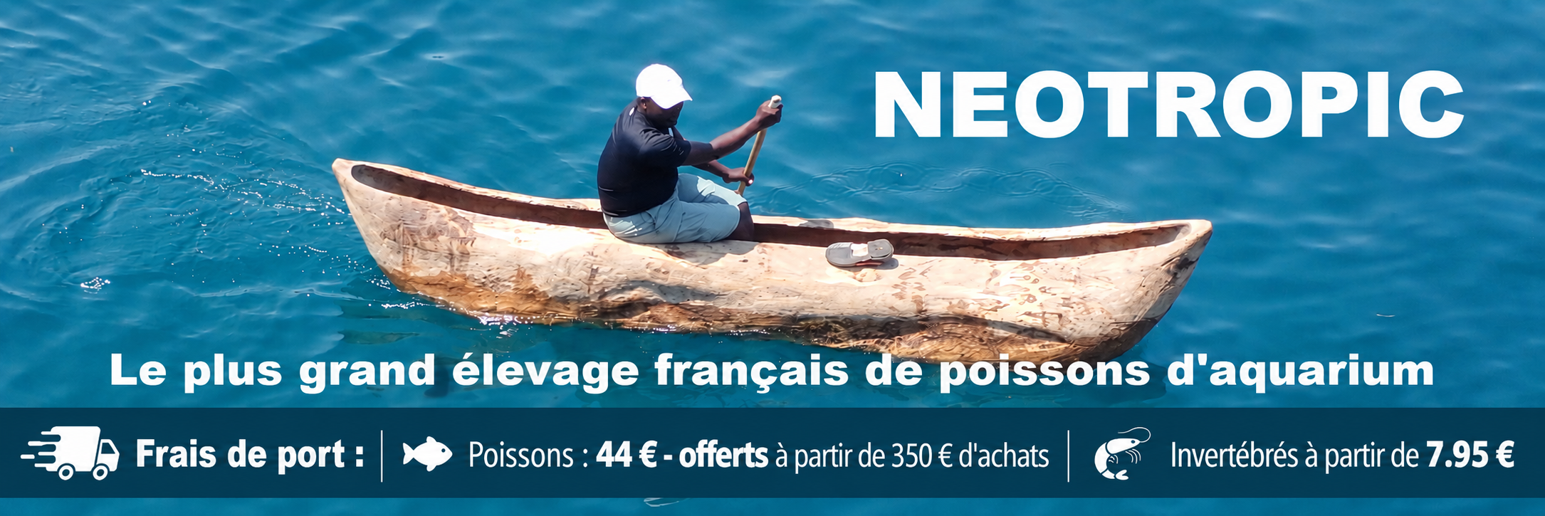 presentation neotropic